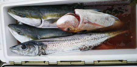 康仁丸・ジギング釣り果